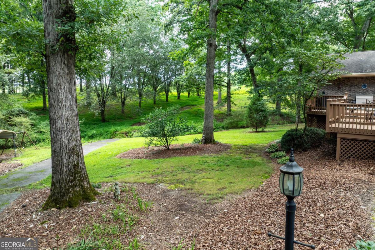 1131 Ednaville Road Property Photo 52