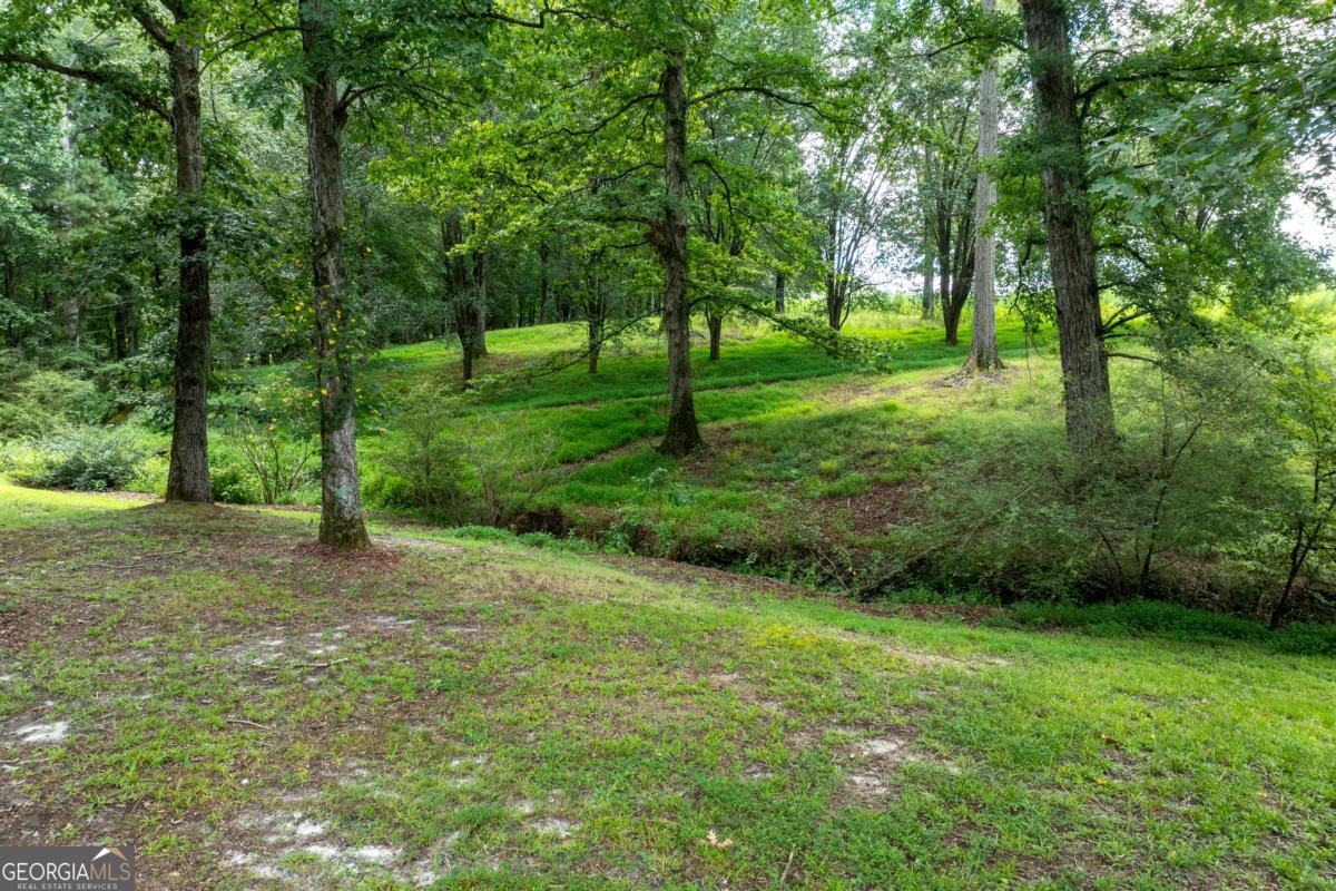1131 Ednaville Road Property Photo 53