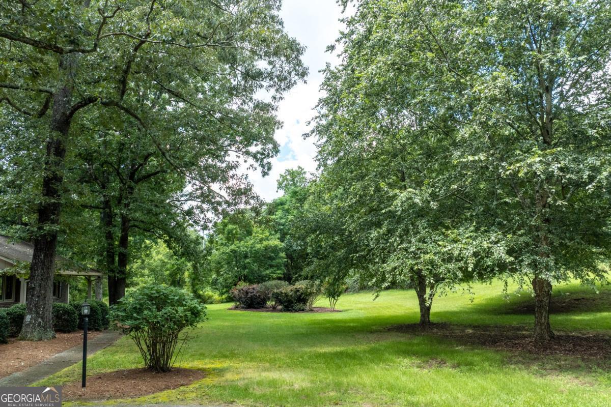1131 Ednaville Road Property Photo 58