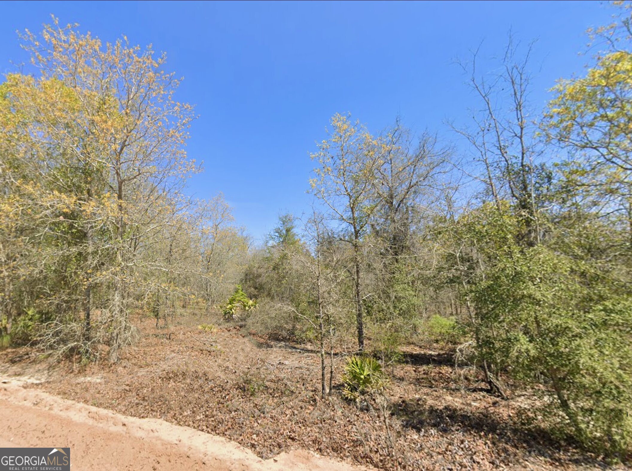 0 Mixon Lane Property Photo 1