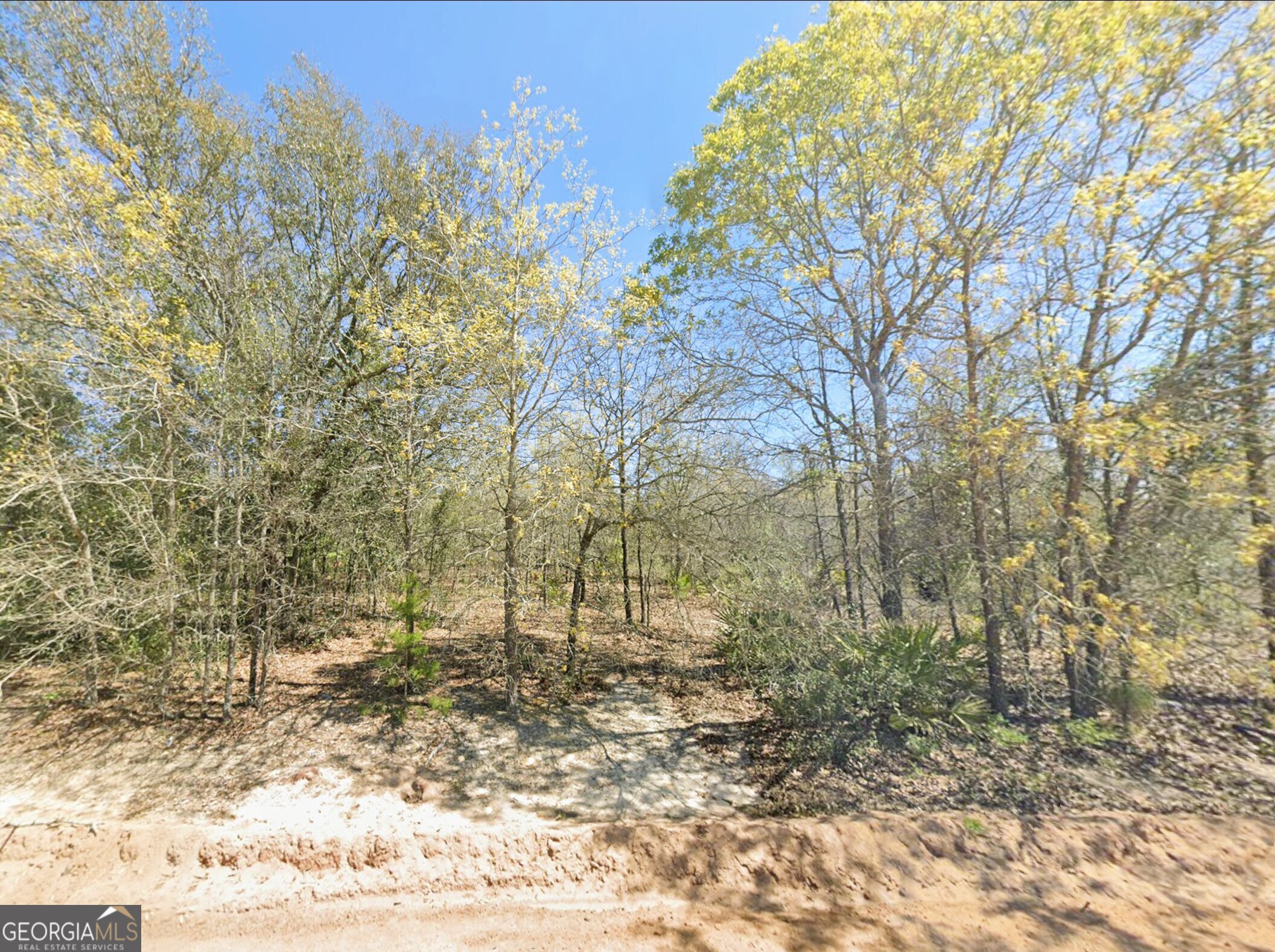 0 Mixon Lane Property Photo 2