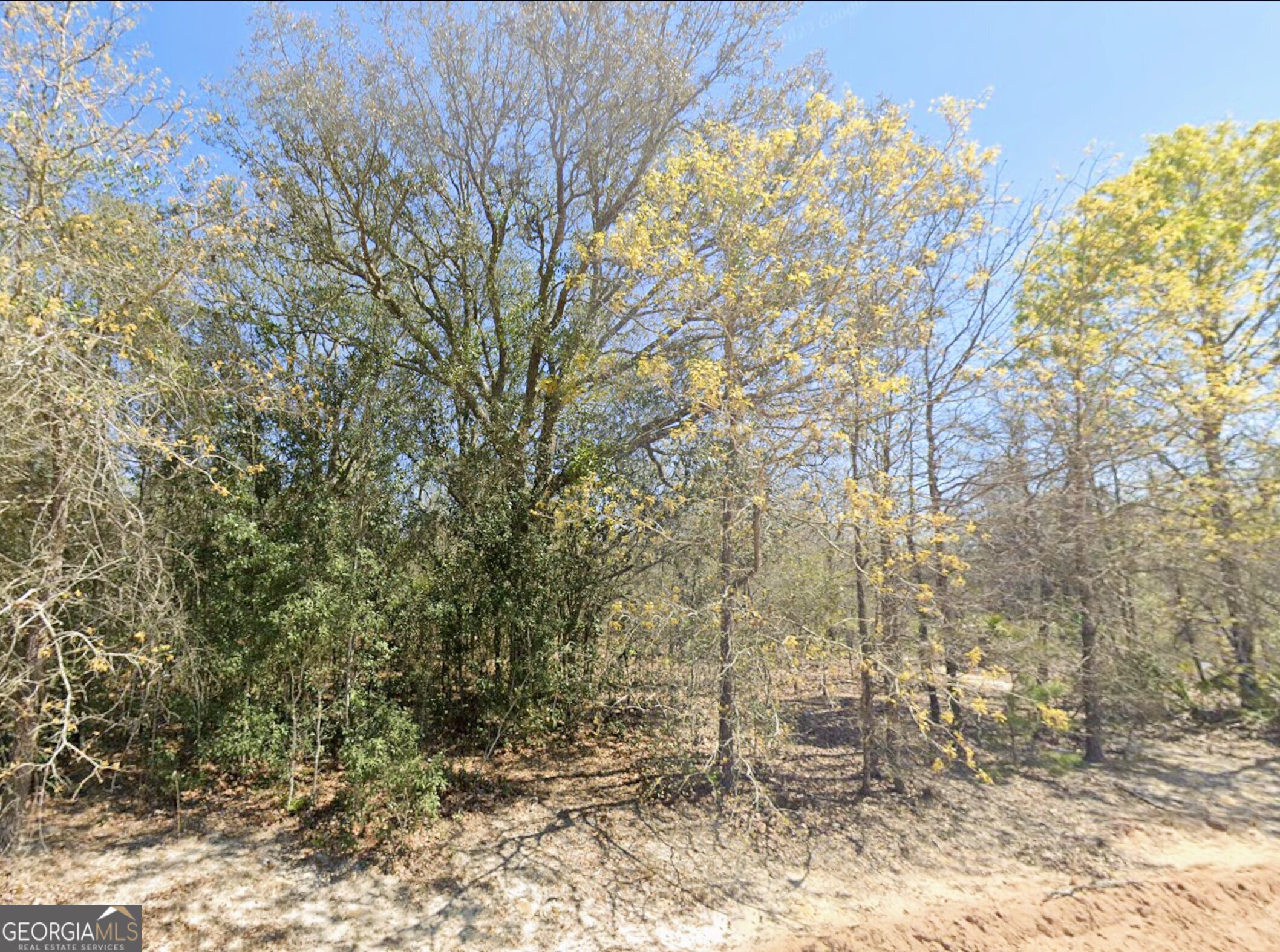0 Mixon Lane Property Photo 3