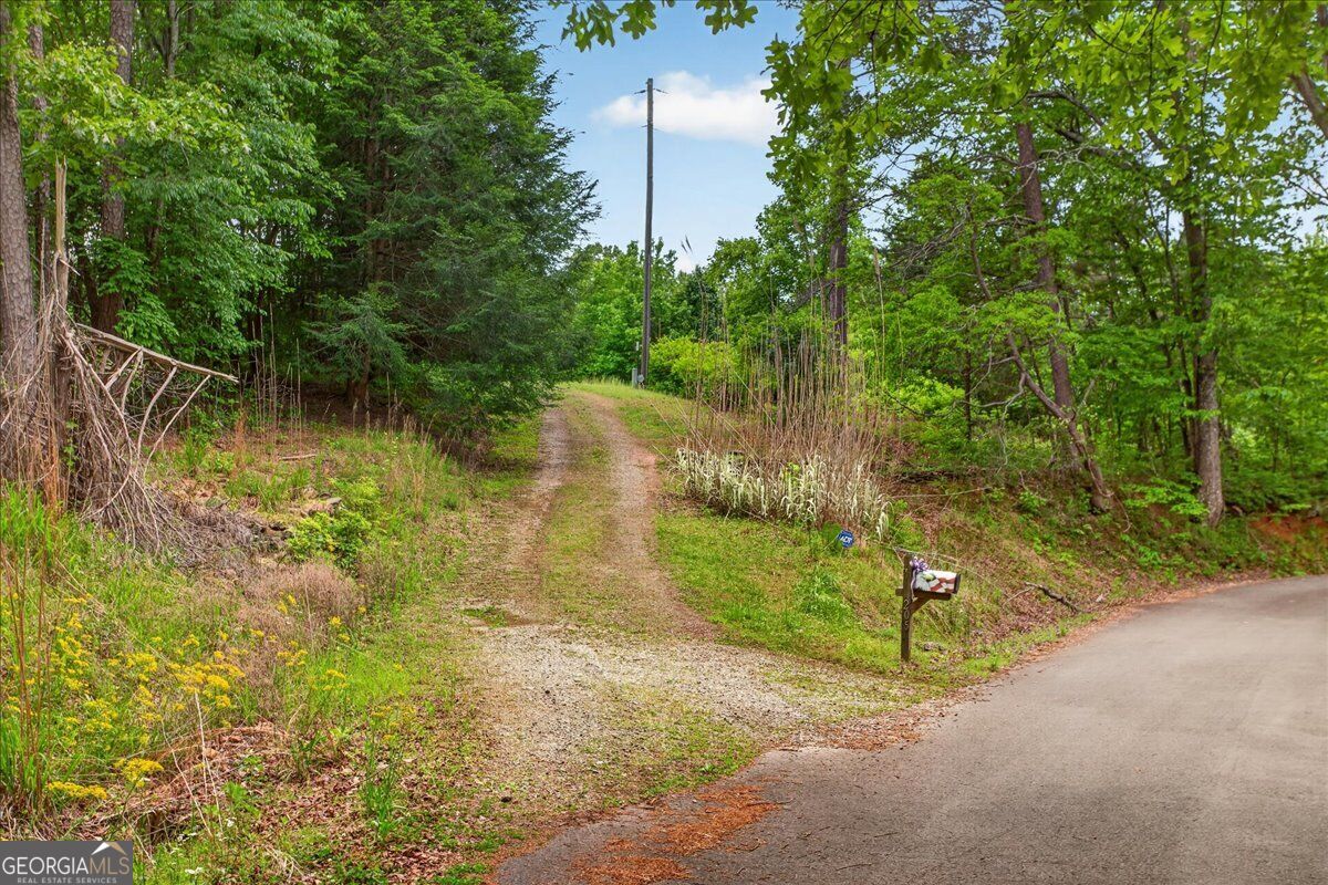 205 Upper Bethany Trail Property Photo 59