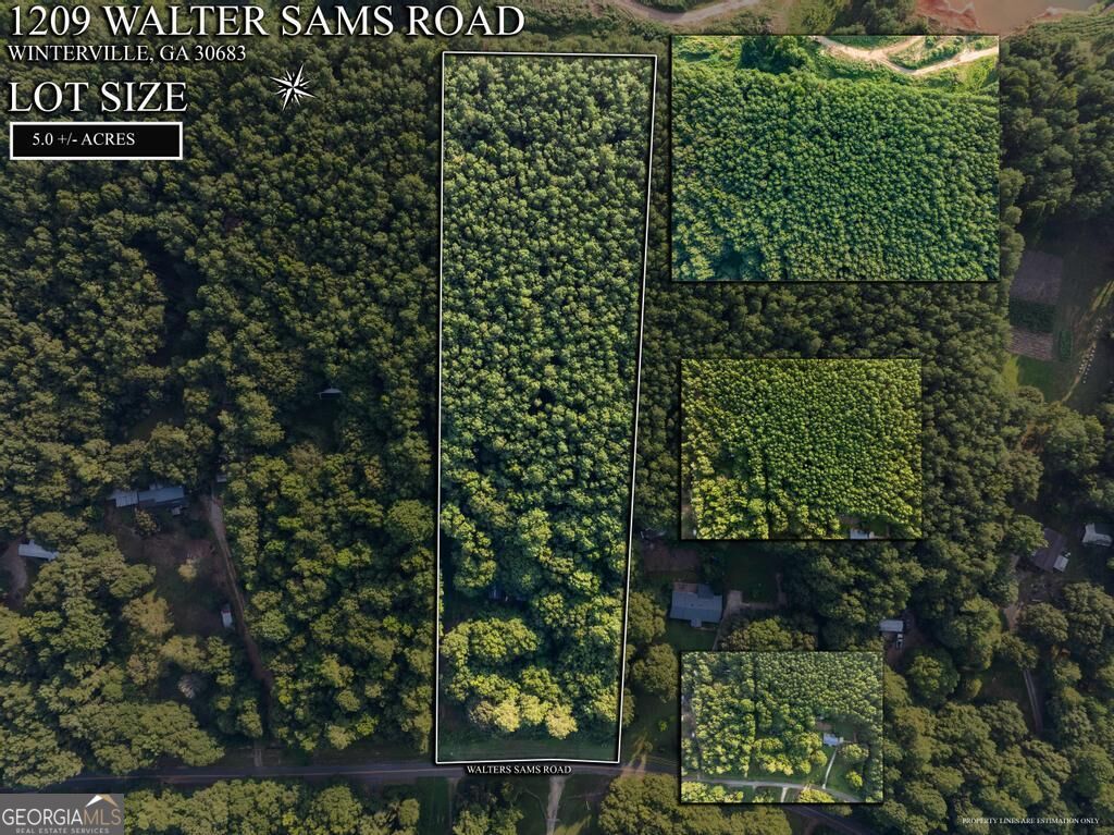 1209 Walter Sams Road Property Photo 6