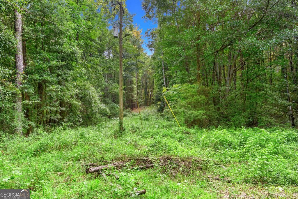 1209 Walter Sams Road Property Photo 7