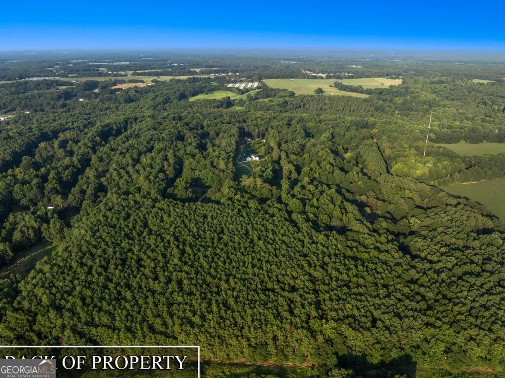 1209 Walter Sams Road Property Photo 14