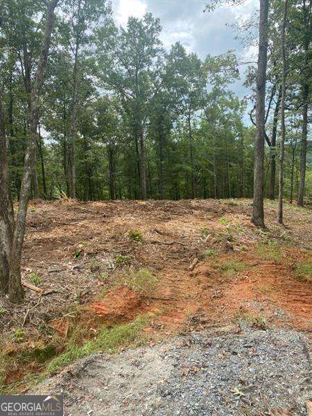 Lot 56 Ridge Line Trail Property Photo 1