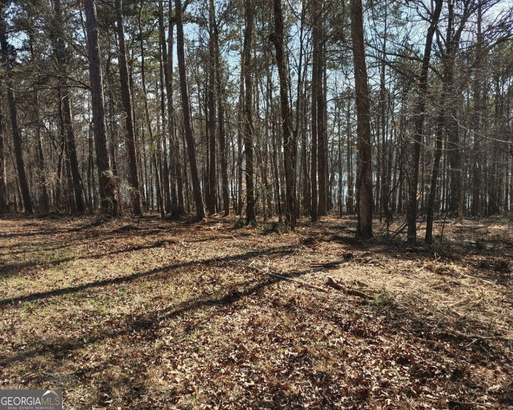 12425 Panhandle Road Property Photo 3
