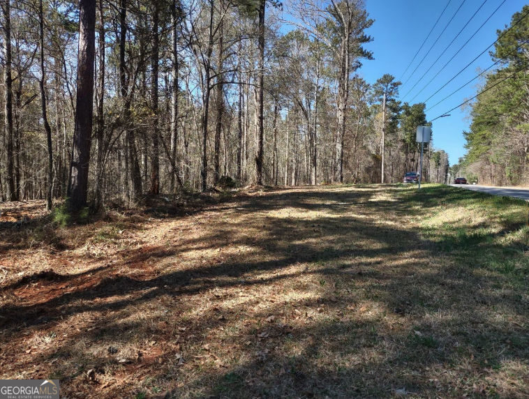 12425 Panhandle Road Property Photo 4