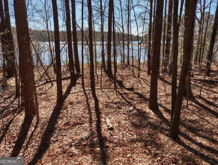 12425 Panhandle Road Property Photo 5