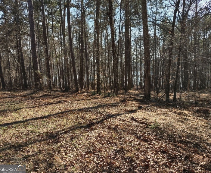12425 Panhandle Road Property Photo 6