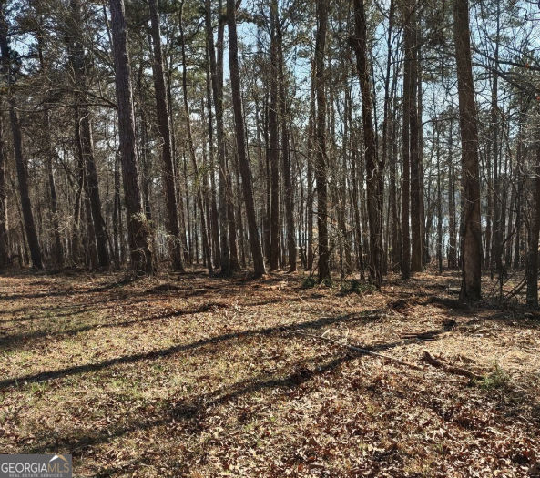 12425 Panhandle Road Property Photo 7