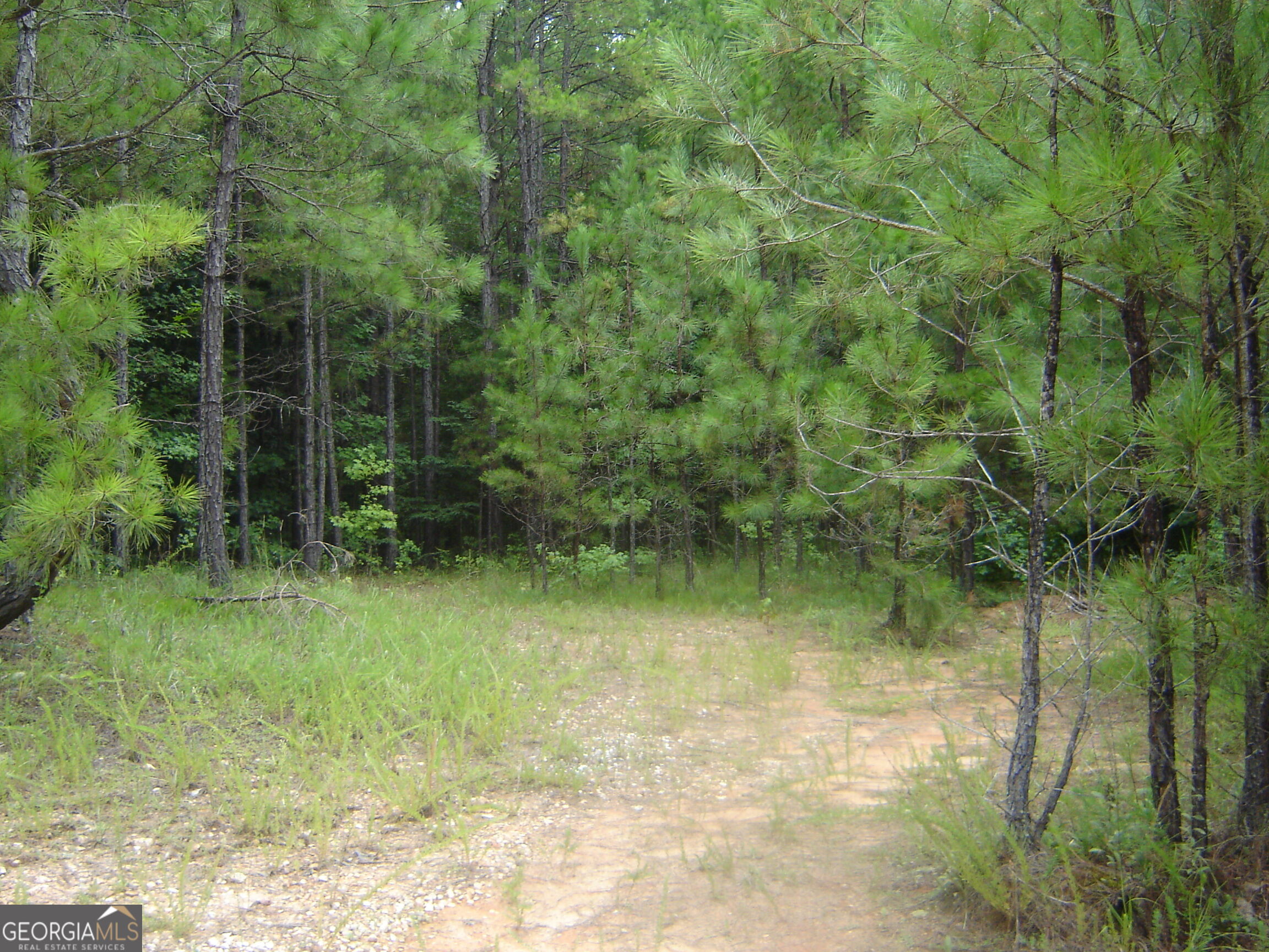 0 Covington Way Property Photo 6