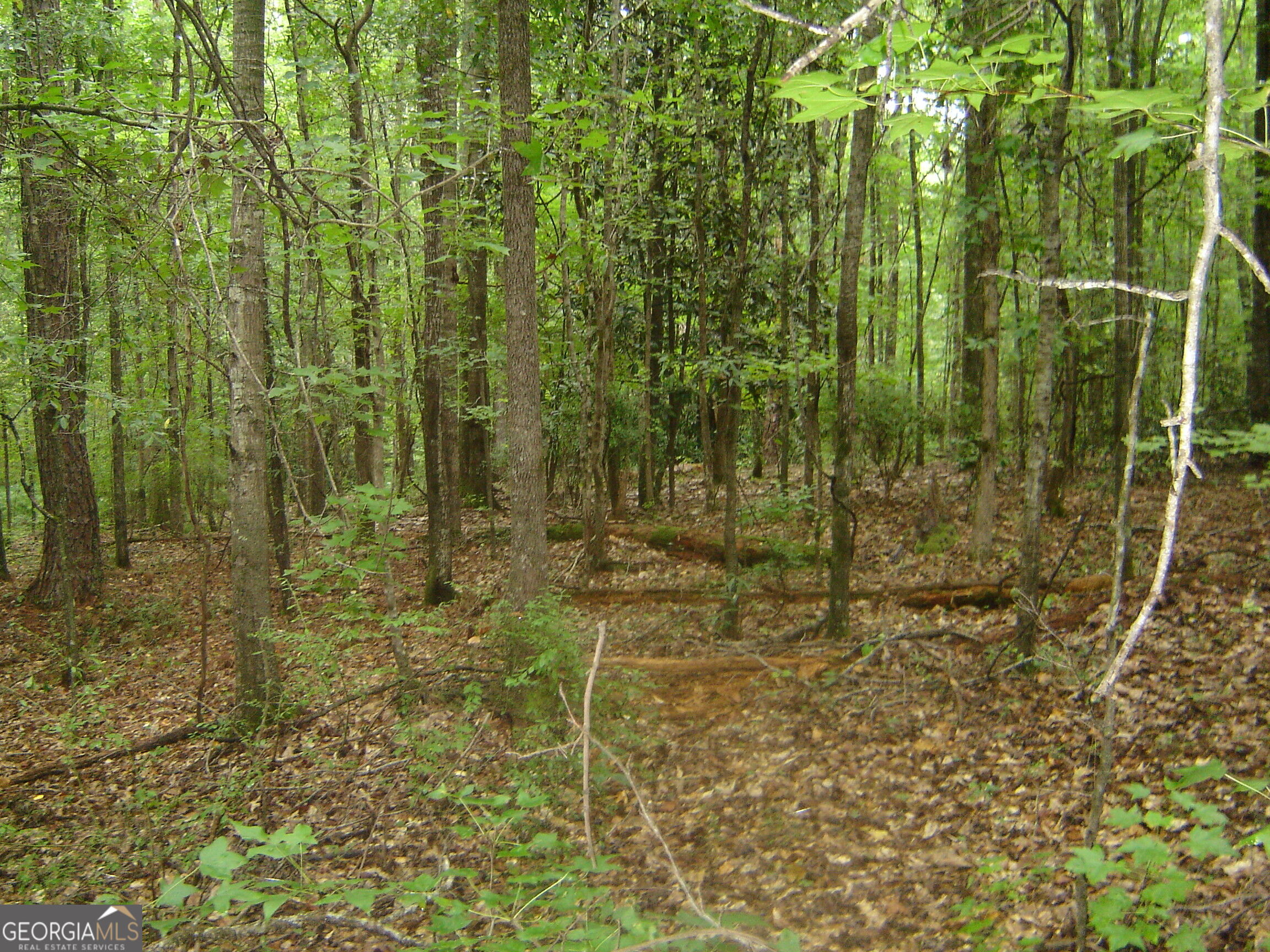 0 Covington Way Property Photo 11