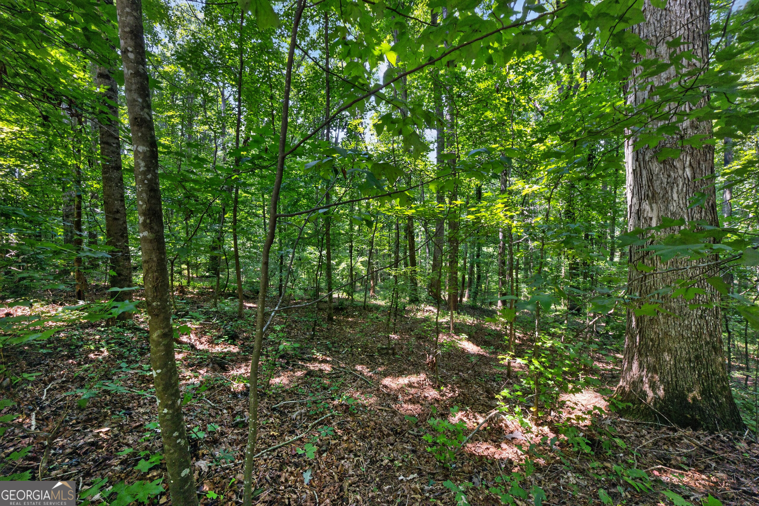 1322 Center Drive Property Photo 14