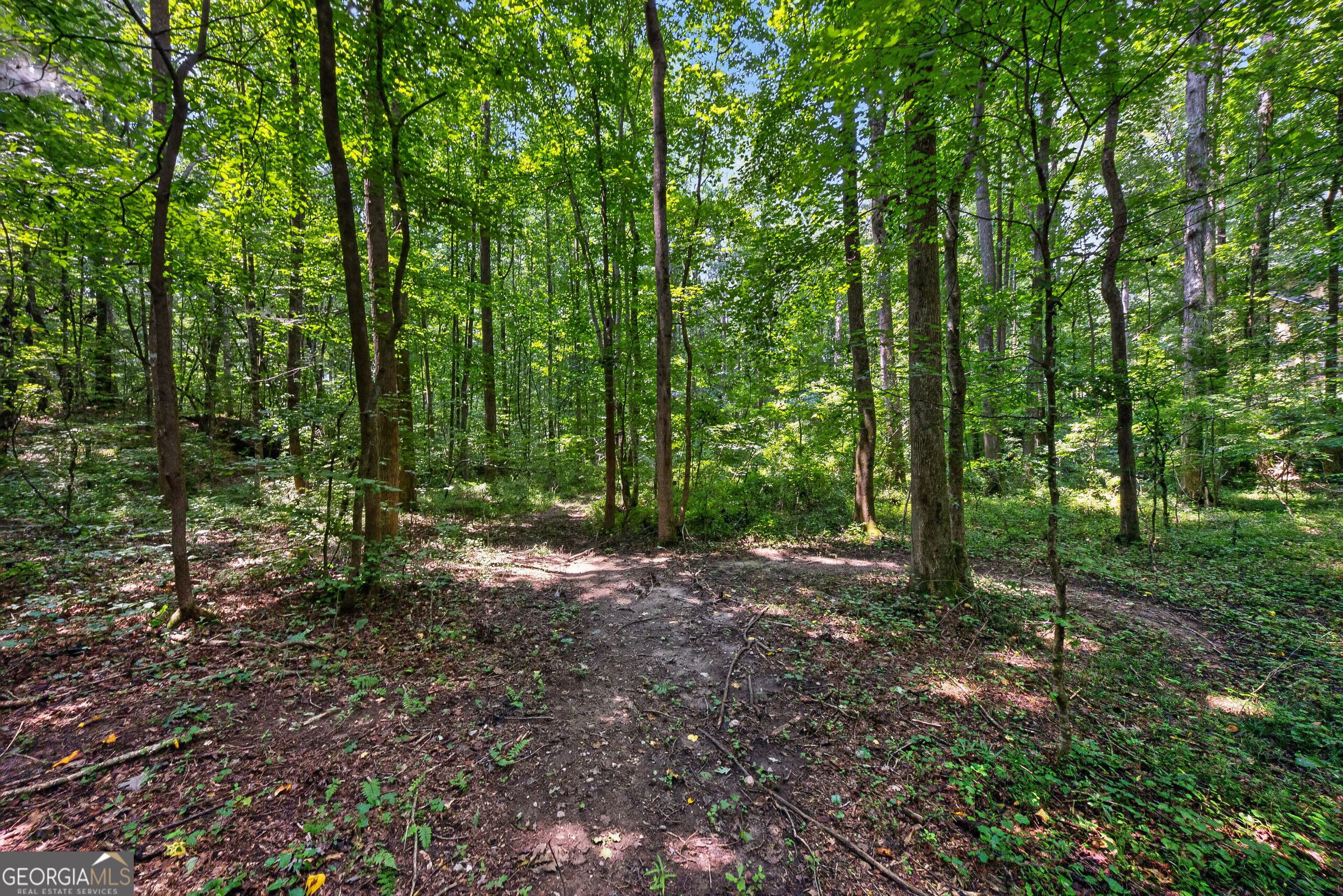 1322 Center Drive Property Photo 15