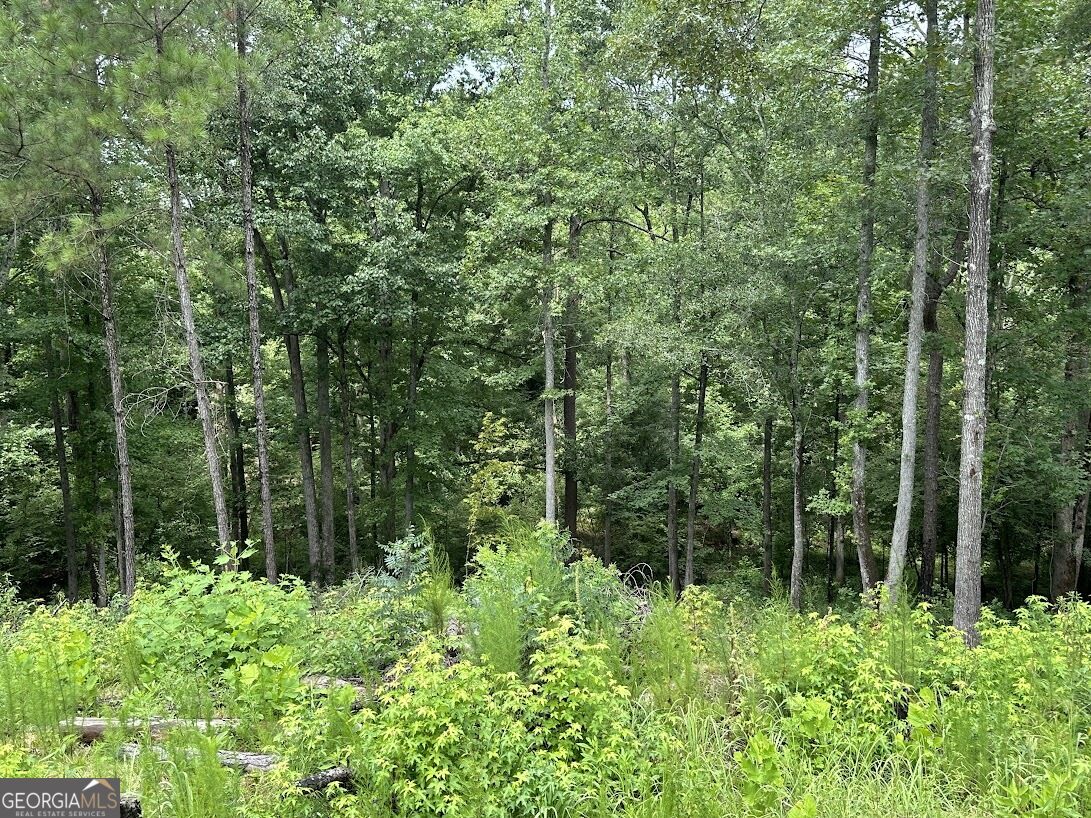 0 Ferry Road Property Photo 8