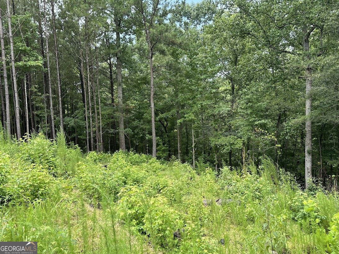 0 Ferry Road Property Photo 9