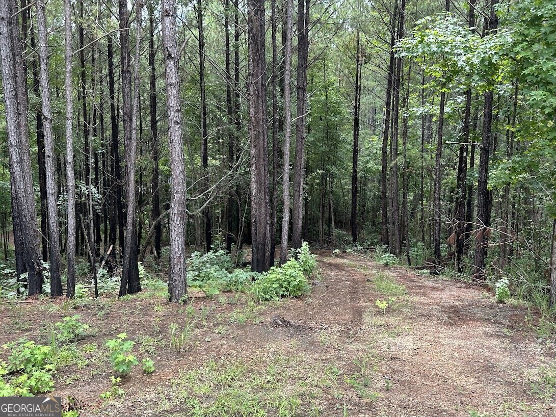 0 Ferry Road Property Photo 11