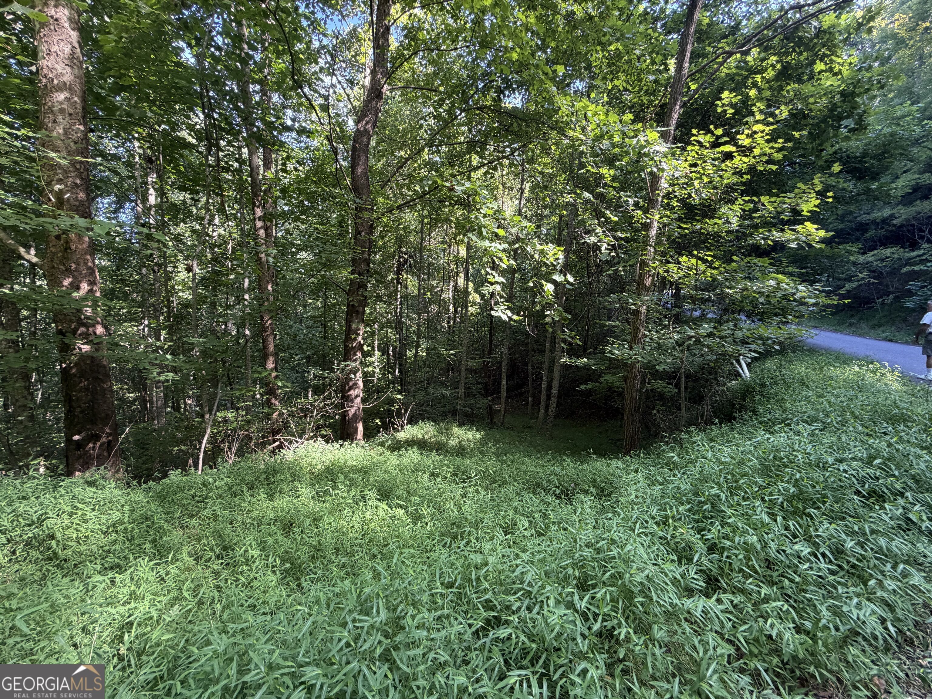 Lot 4 Mill Ridge Road Property Photo 1