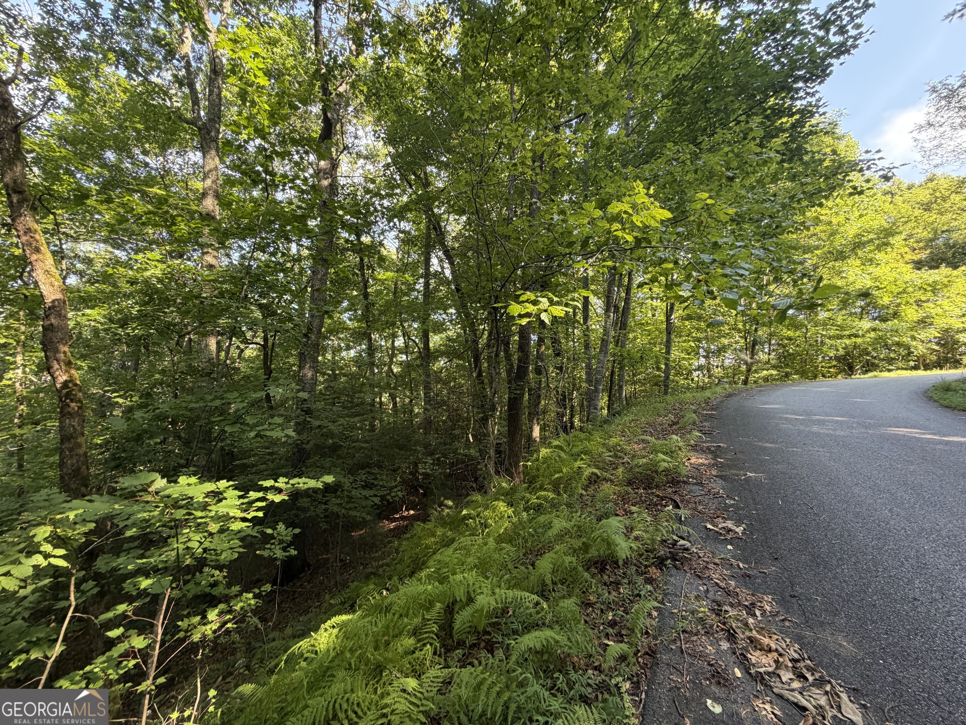 Lot 5 Mill Ridge Road Property Photo 1