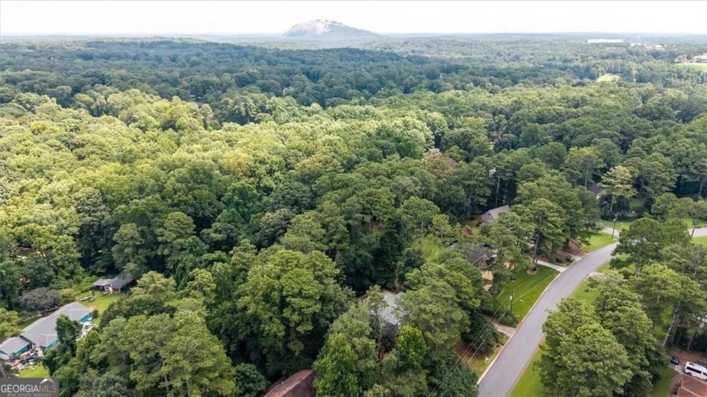 2123 Mountain Creek Drive Property Photo 53