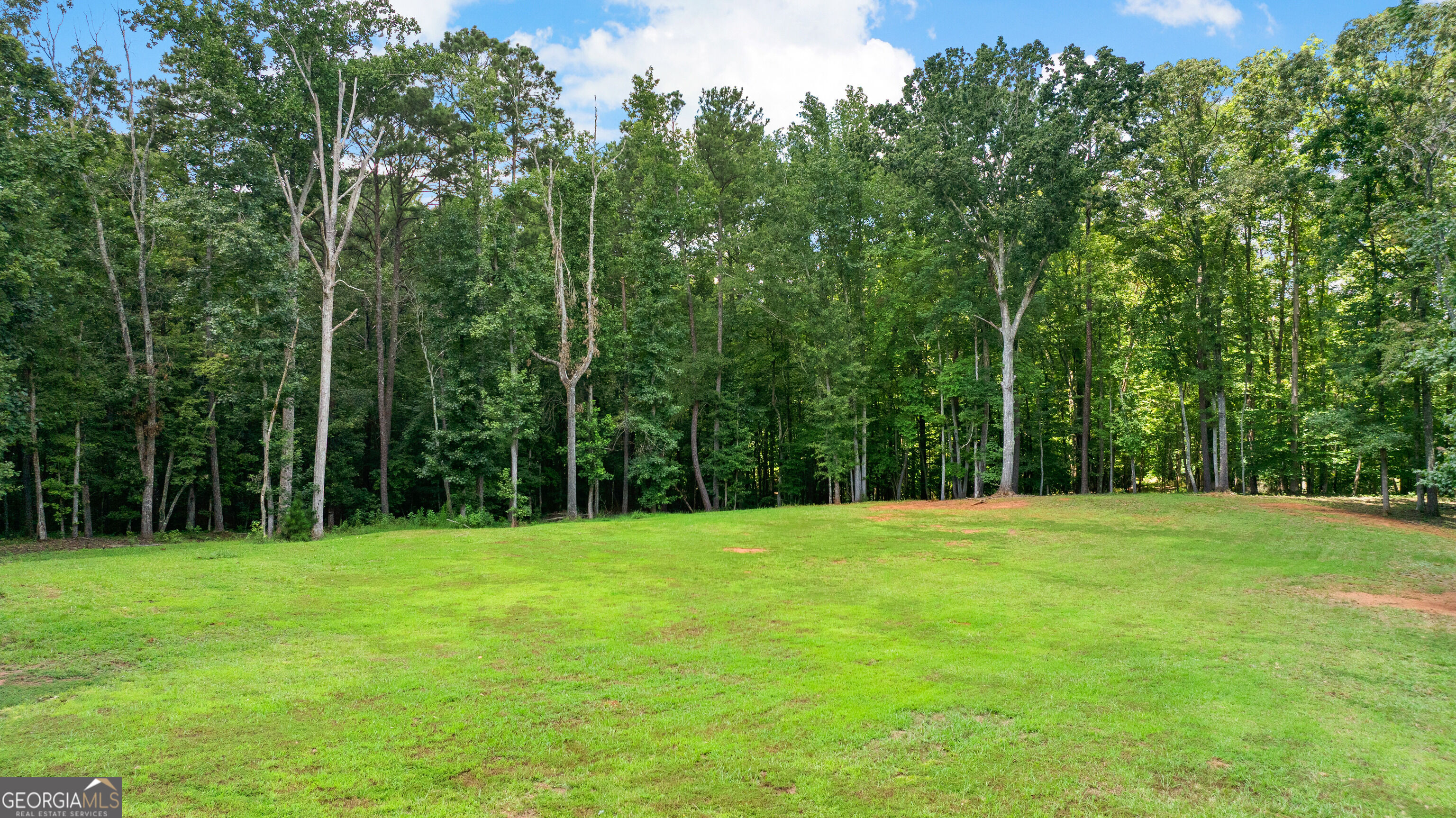 1191 Tommy Lee Cook Road Property Photo 46