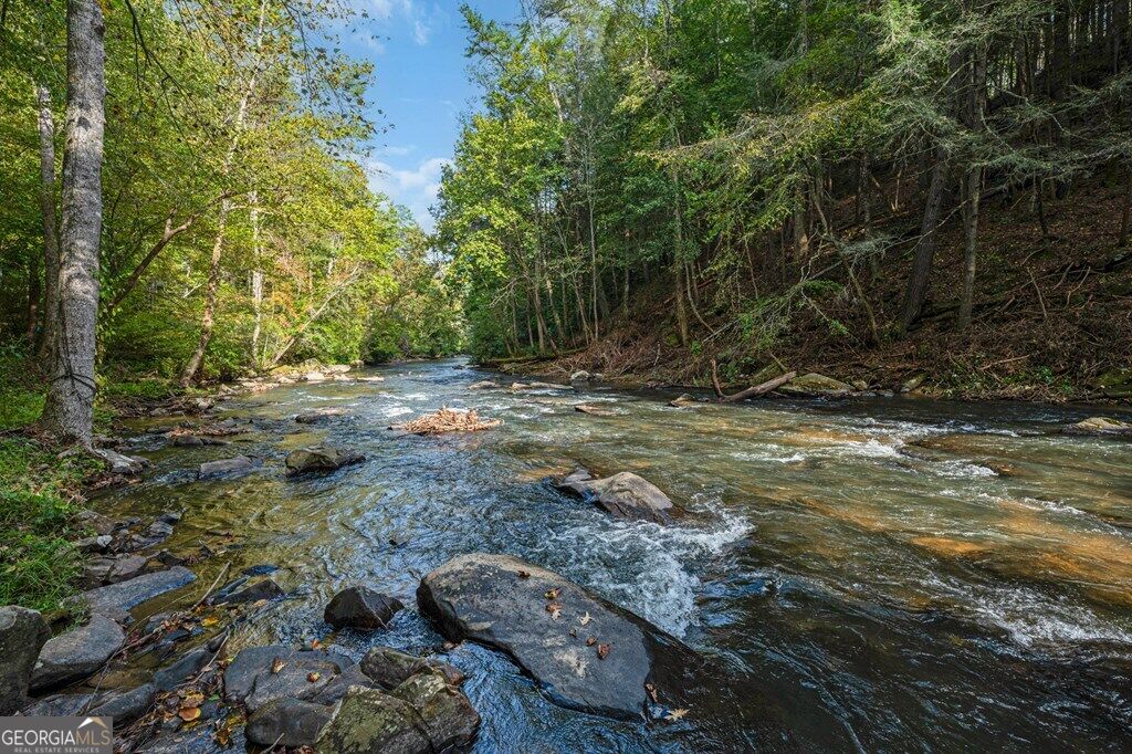 325 Whitewater Falls Trail Property Photo 4