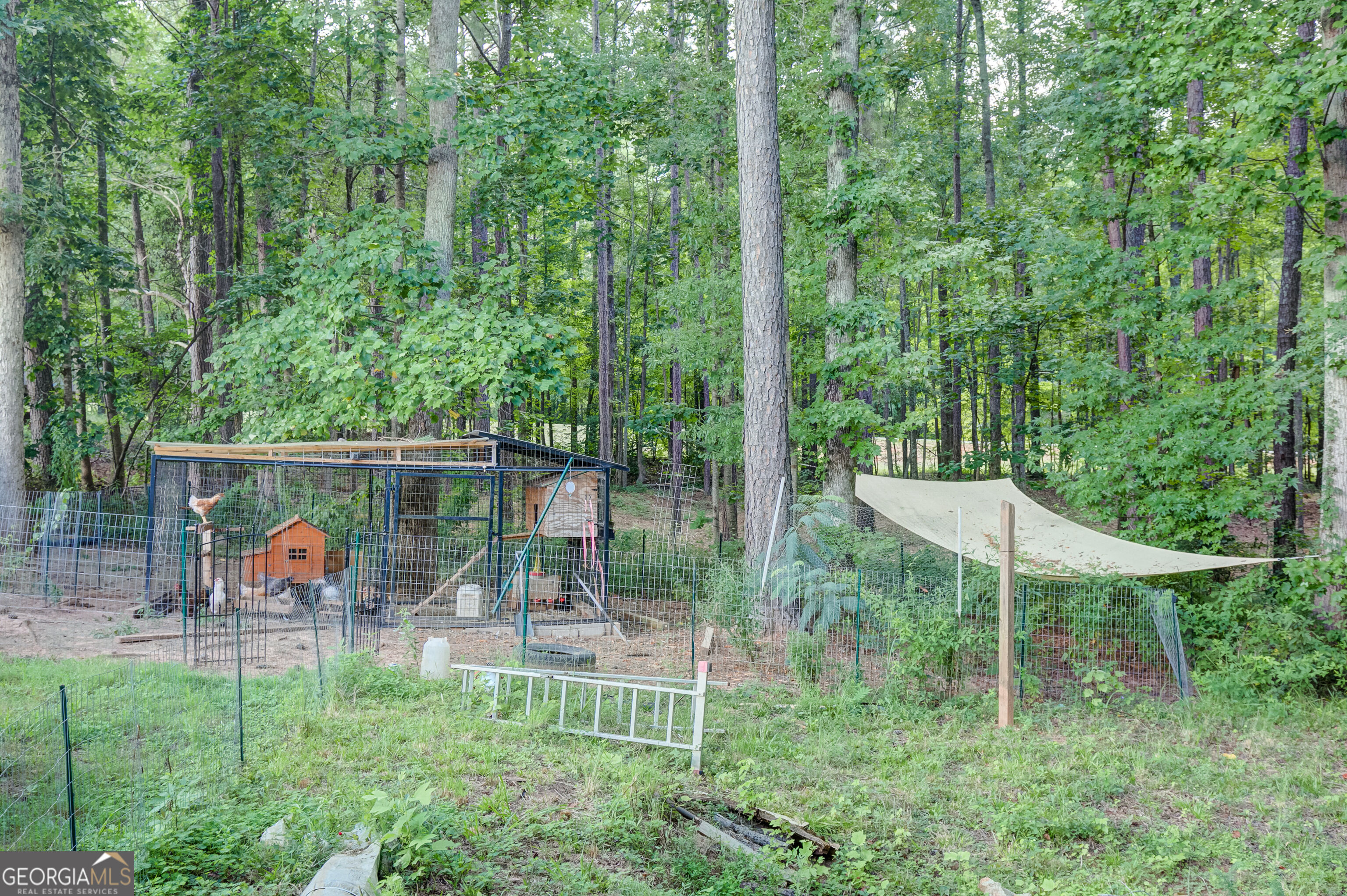 20 Walton Woods Court Property Photo 42