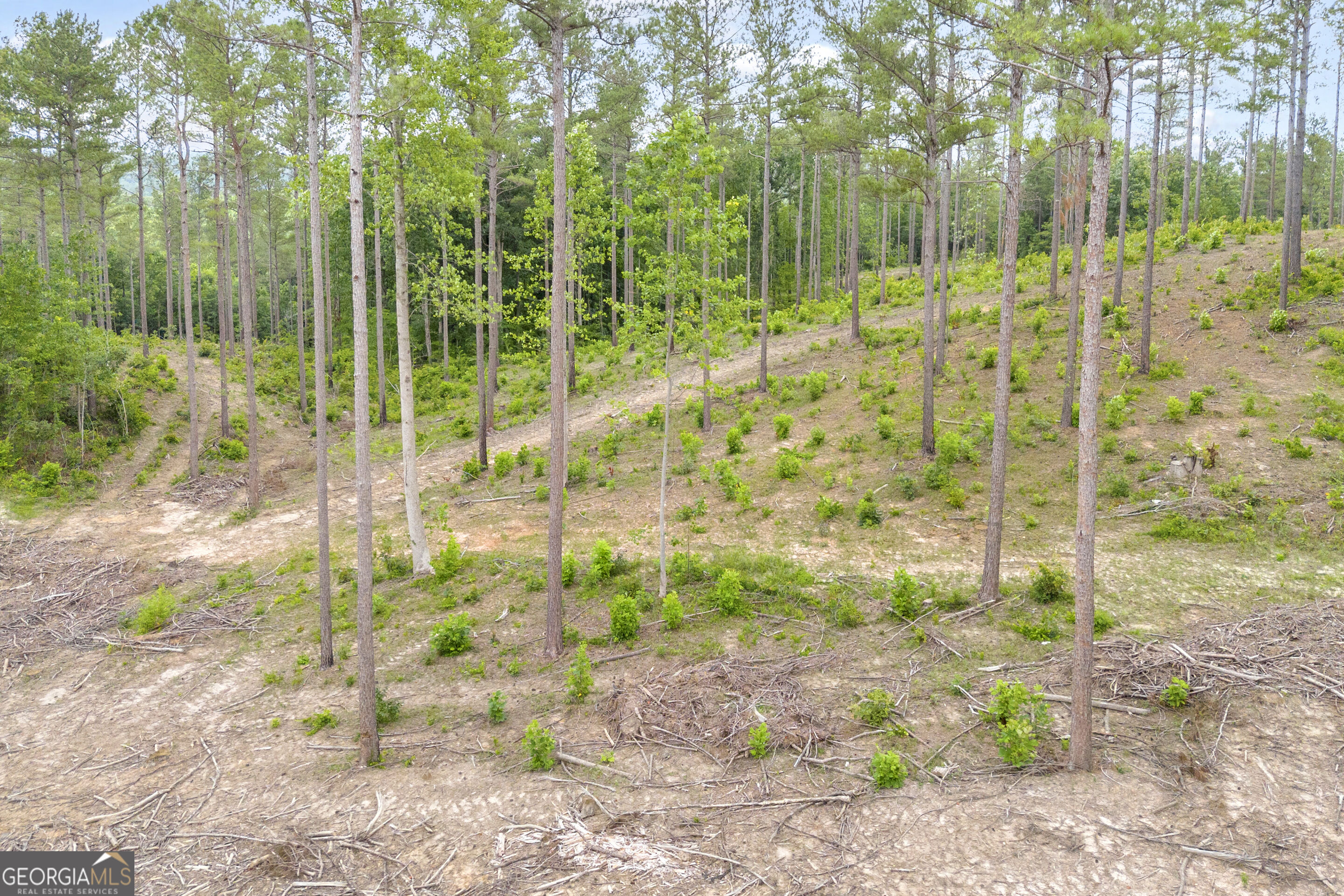 0 Mt. Sinai Lot 9 Property Photo 21