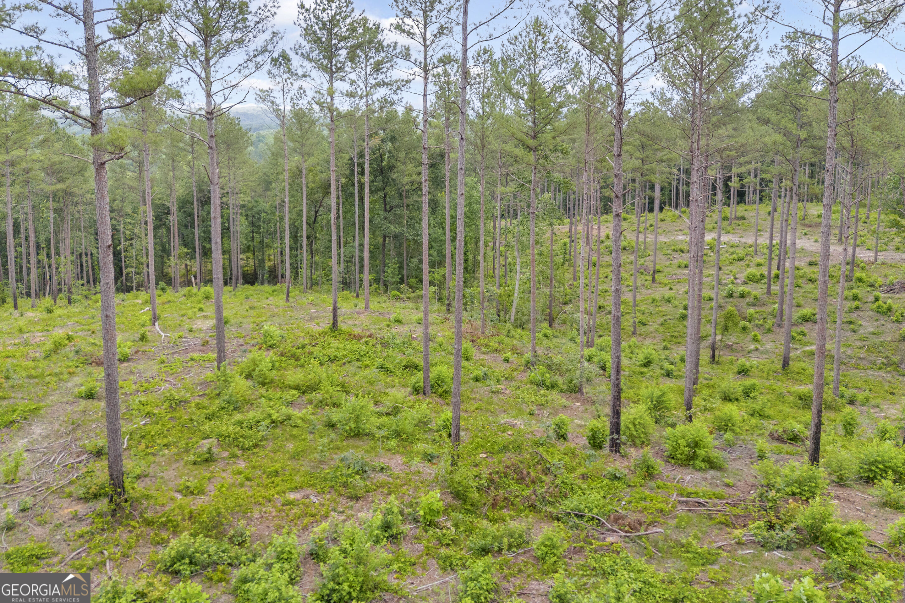 0 Mt. Sinai Lot 9 Property Photo 24