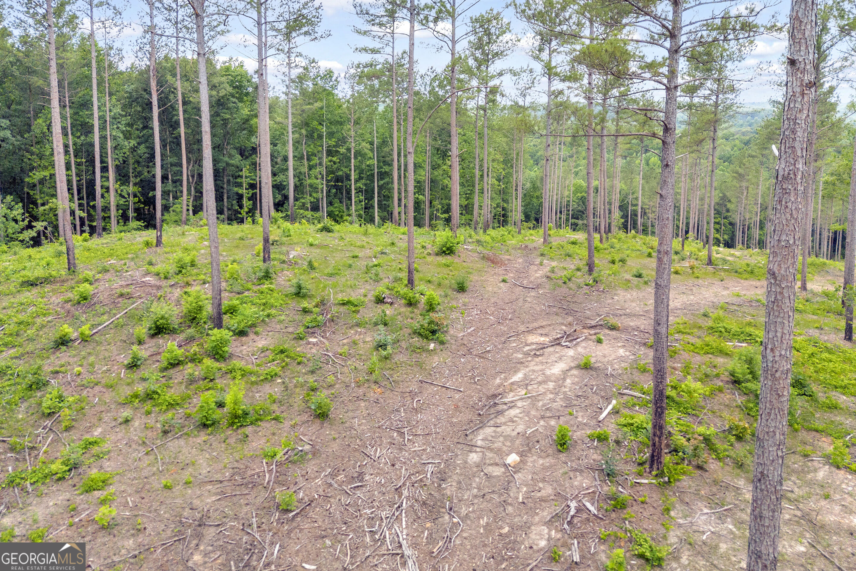 0 Mt. Sinai Lot 9 Property Photo 25