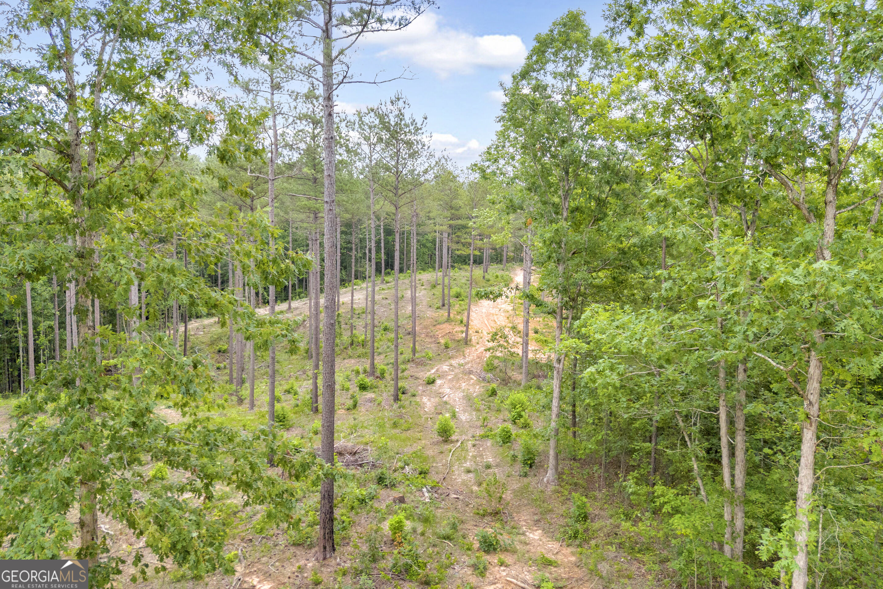 0 Mt. Sinai Lot 9 Property Photo 27