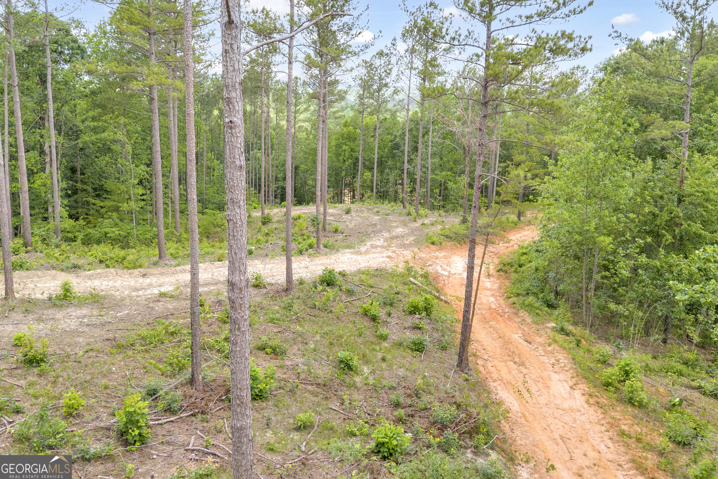0 Mt. Sinai Lot 9 Property Photo 28