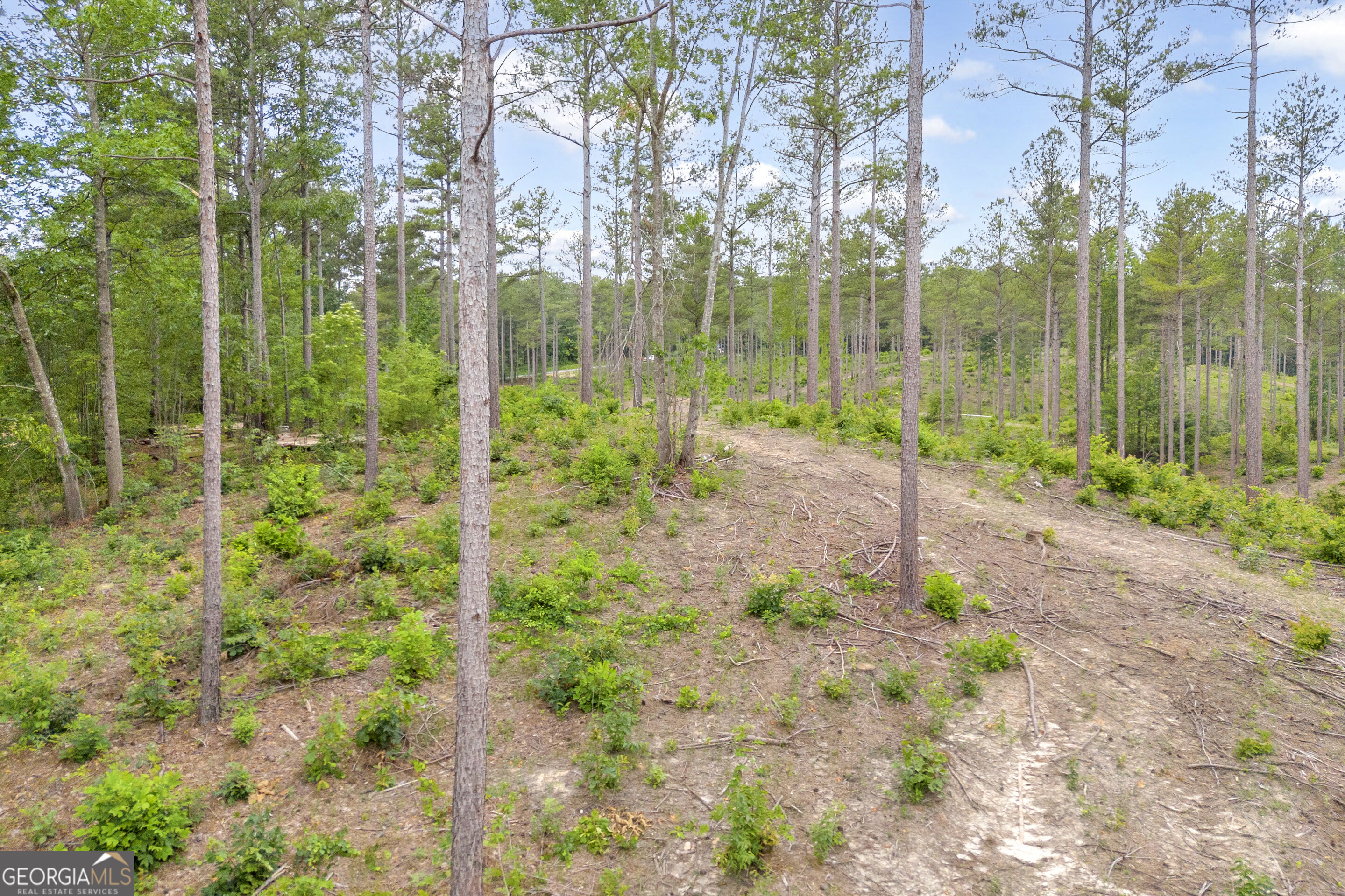 0 Mt. Sinai Lot 9 Property Photo 29