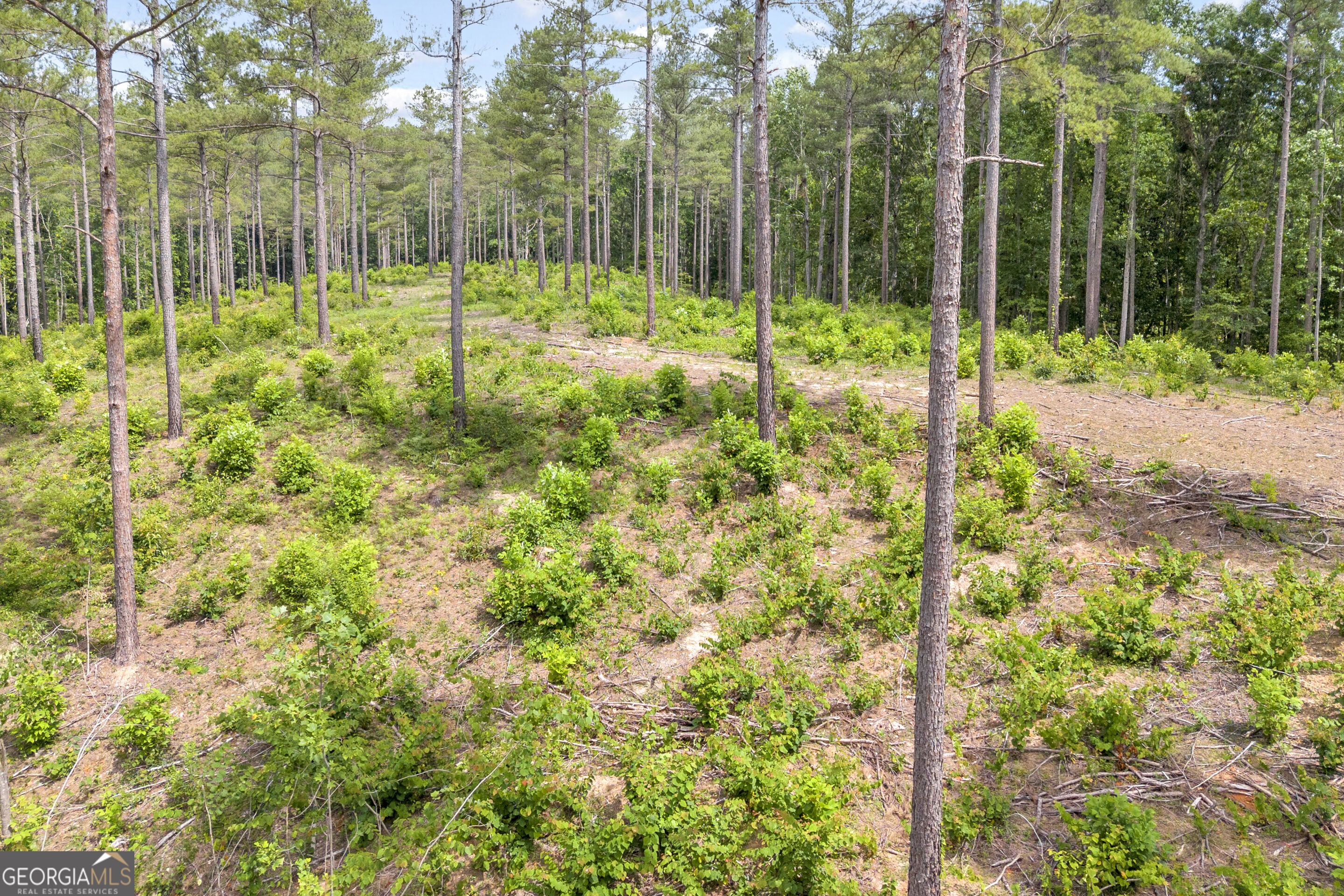 0 Mt. Sinai Lot 9 Property Photo 34