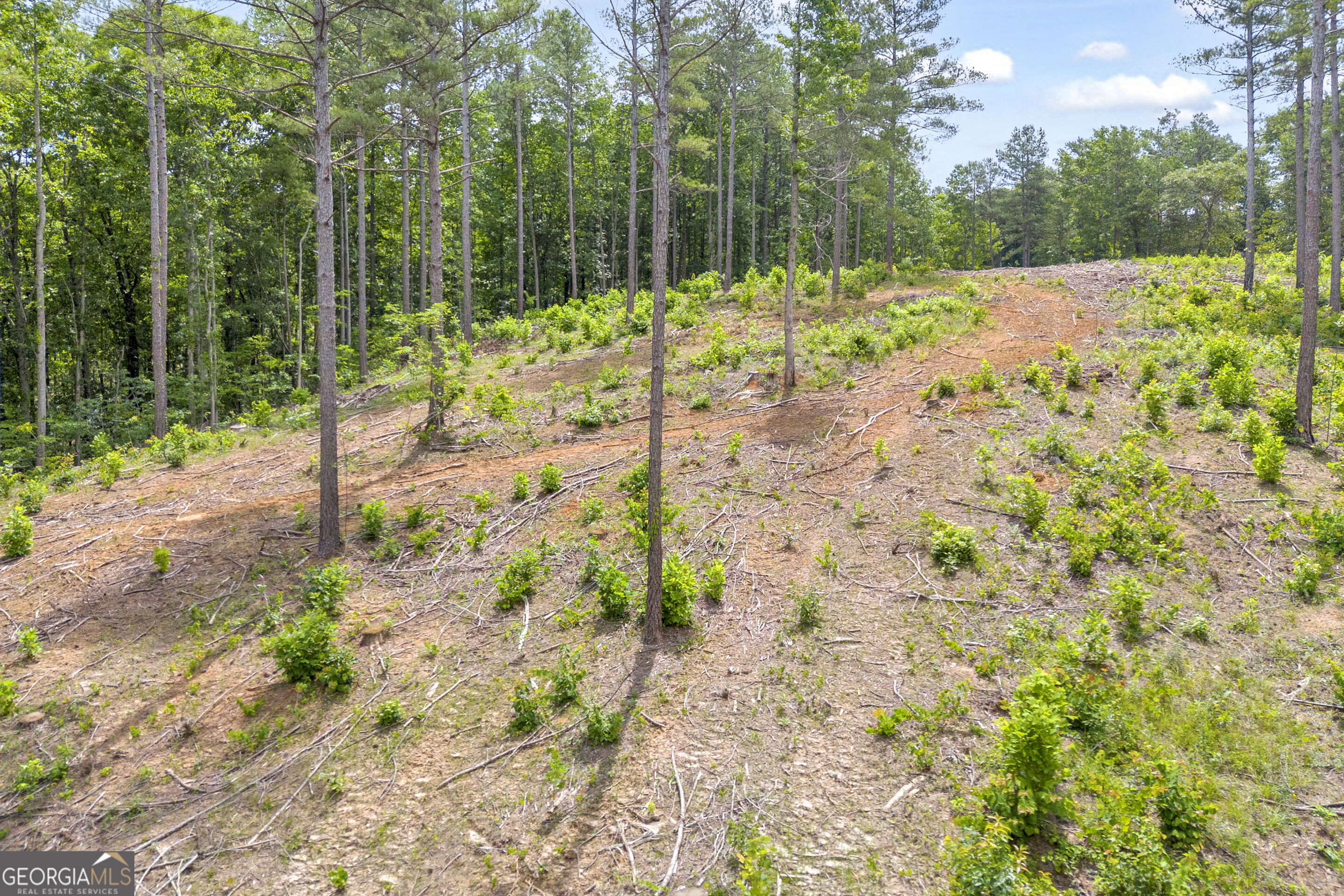 0 Mt. Sinai Lot 9 Property Photo 35