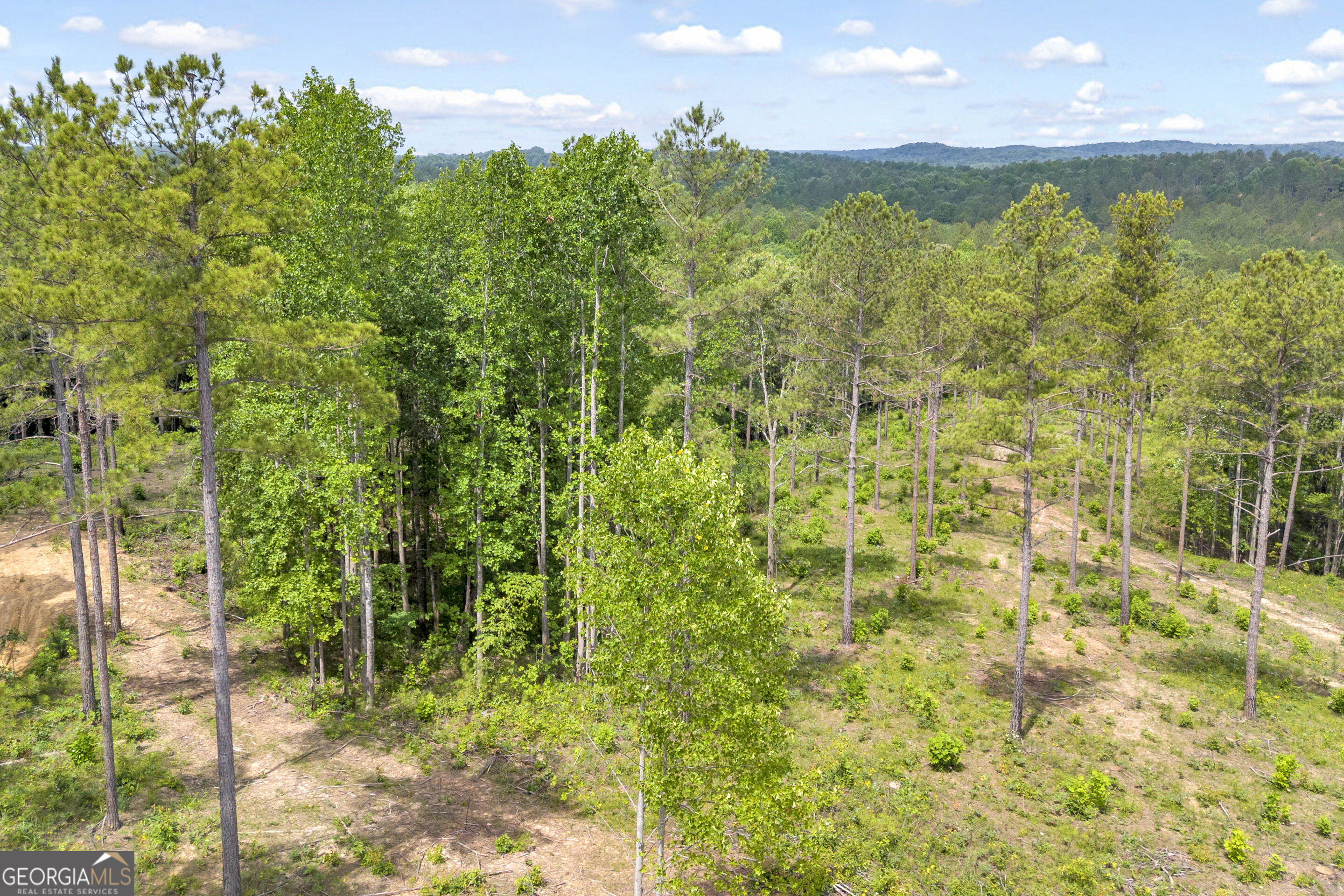 0 Mt. Sinai Lot 9 Property Photo 38