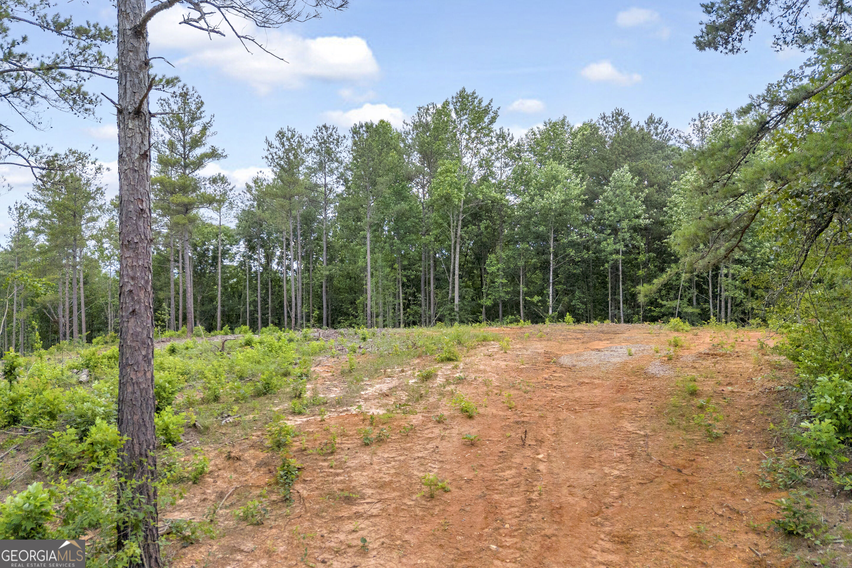 0 Mt. Sinai Lot 9 Property Photo 43