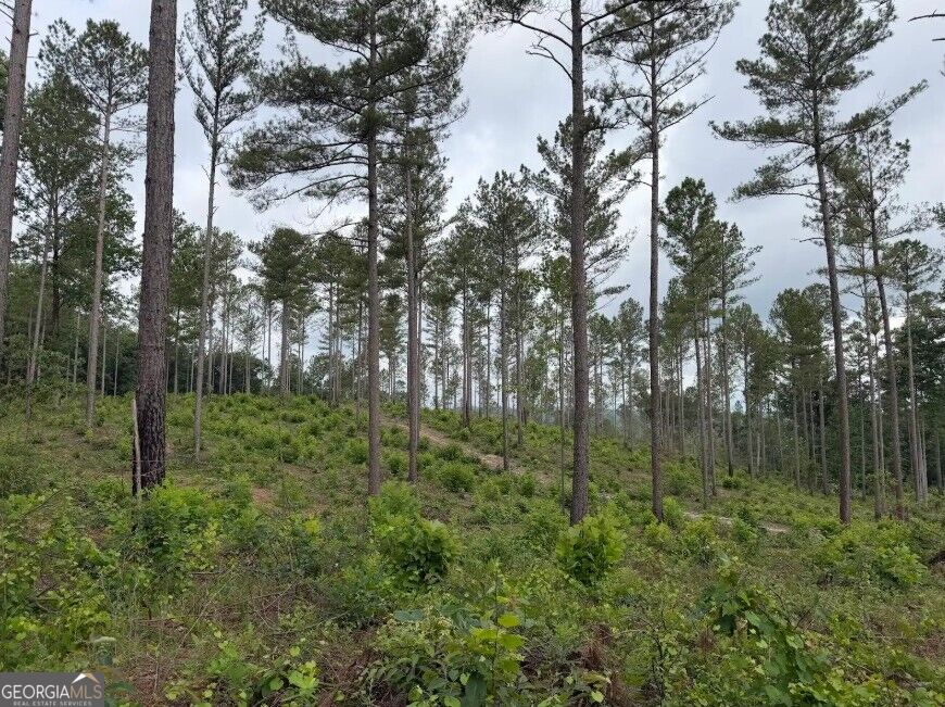 0 Mt. Sinai Lot 9 Property Photo 44
