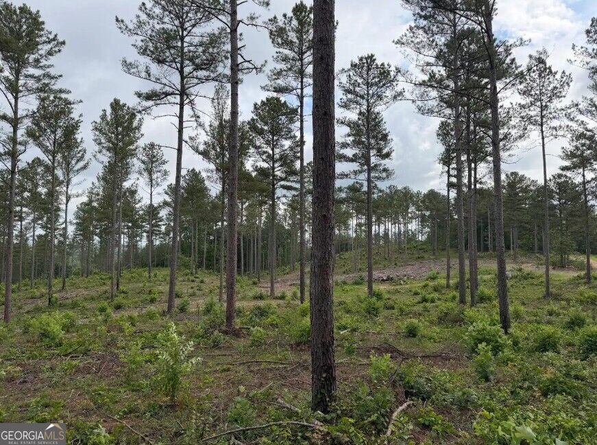 0 Mt. Sinai Lot 9 Property Photo 46