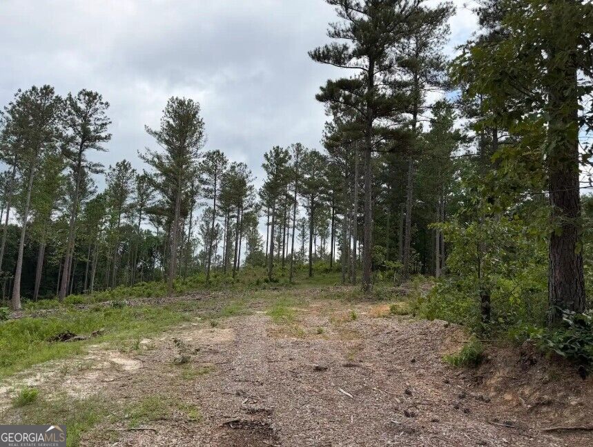 0 Mt. Sinai Lot 9 Property Photo 48