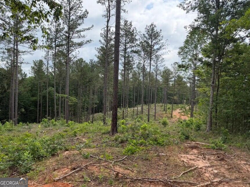 0 Mt. Sinai Lot 9 Property Photo 49