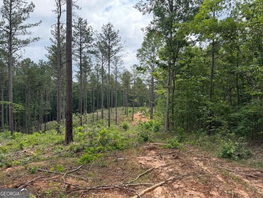 0 Mt. Sinai Lot 9 Property Photo 50
