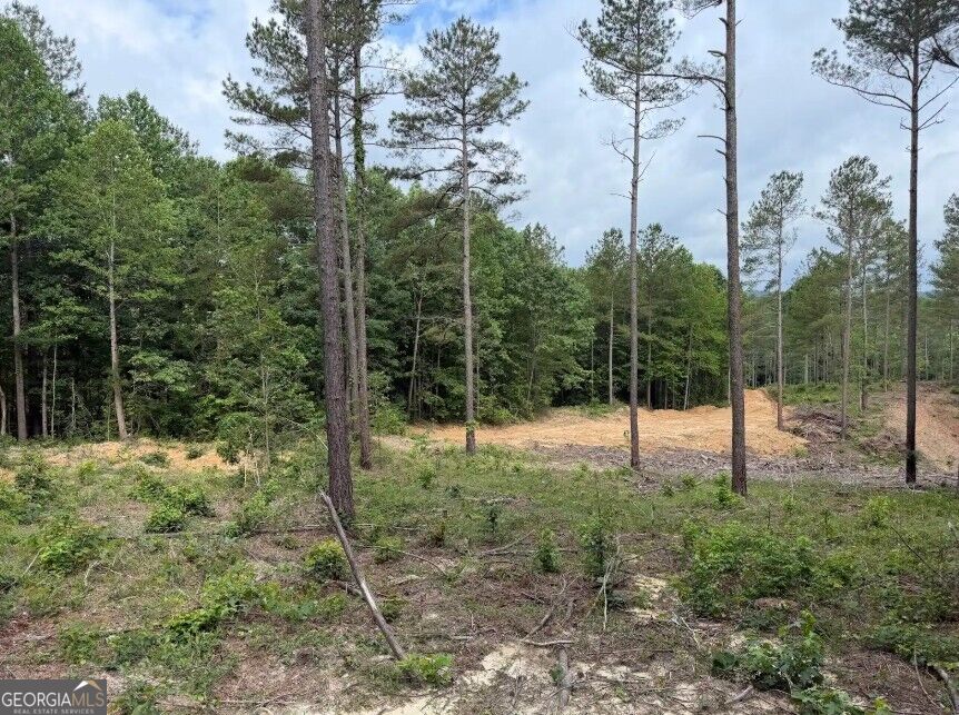 0 Mt. Sinai Lot 9 Property Photo 51