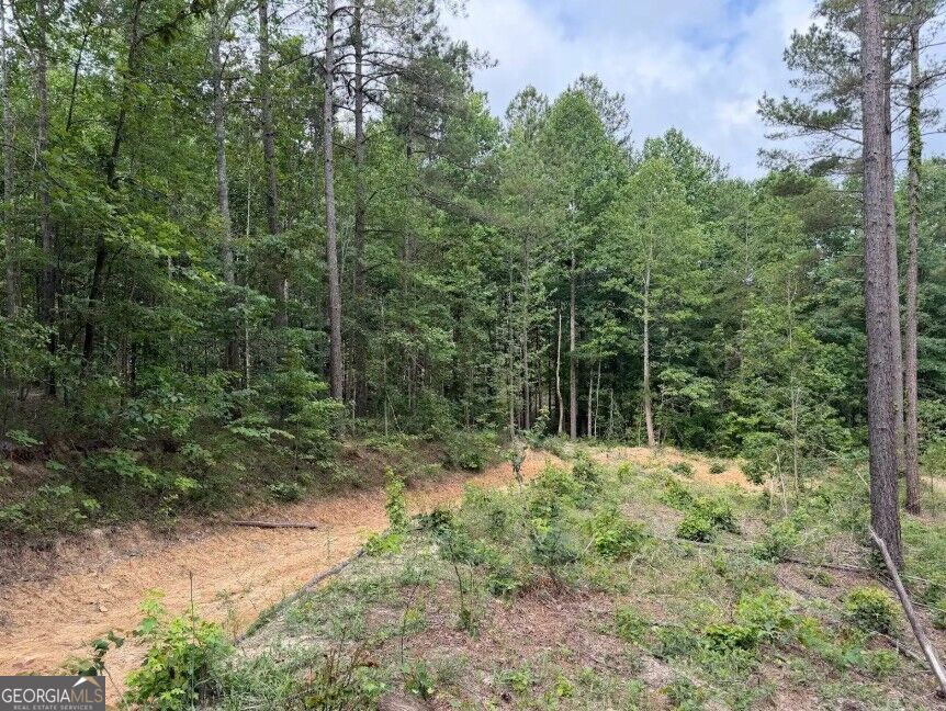 0 Mt. Sinai Lot 9 Property Photo 52