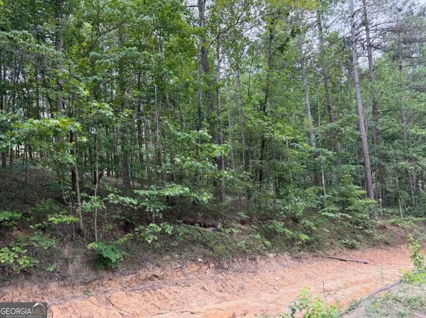 0 Mt. Sinai Lot 9 Property Photo 53