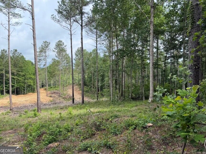 0 Mt. Sinai Lot 9 Property Photo 54