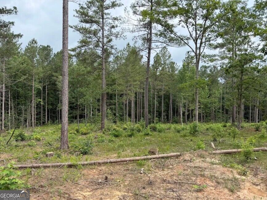 0 Mt. Sinai Lot 9 Property Photo 55