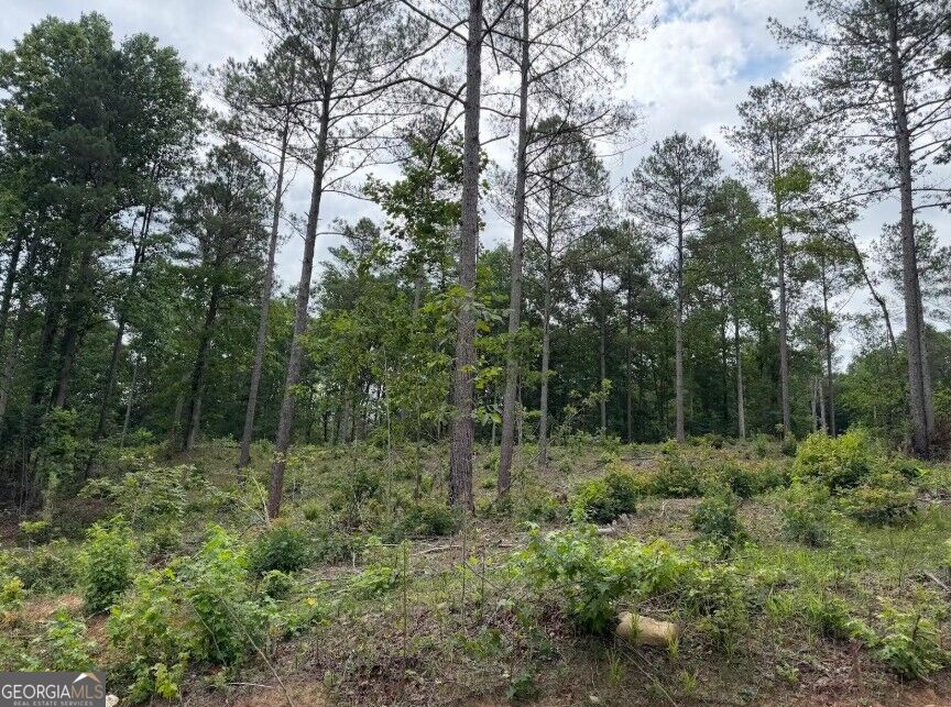 0 Mt. Sinai Lot 9 Property Photo 57